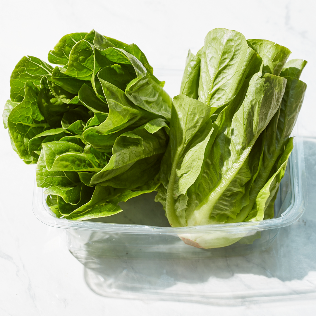 2_Organic-Romaine-Twins