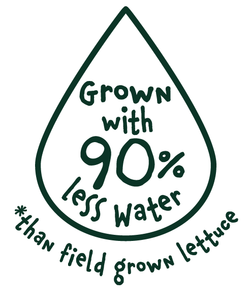 Grown w Less__0B3426